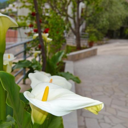 Tivat Apartments Экстерьер фото