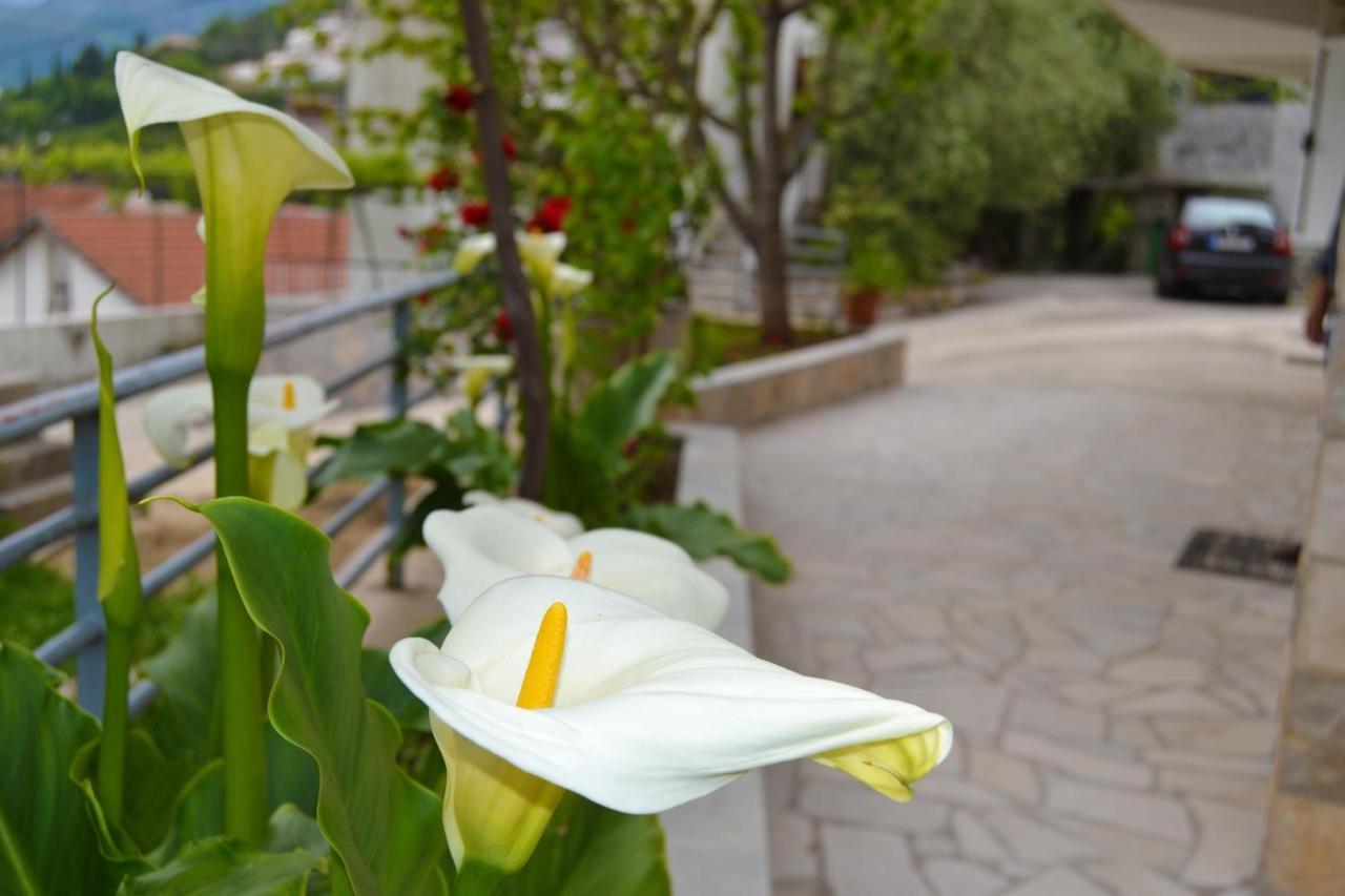 Tivat Apartments Экстерьер фото